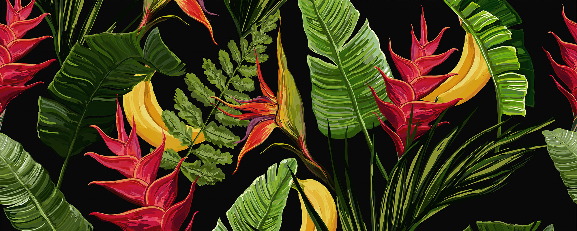 Exotica