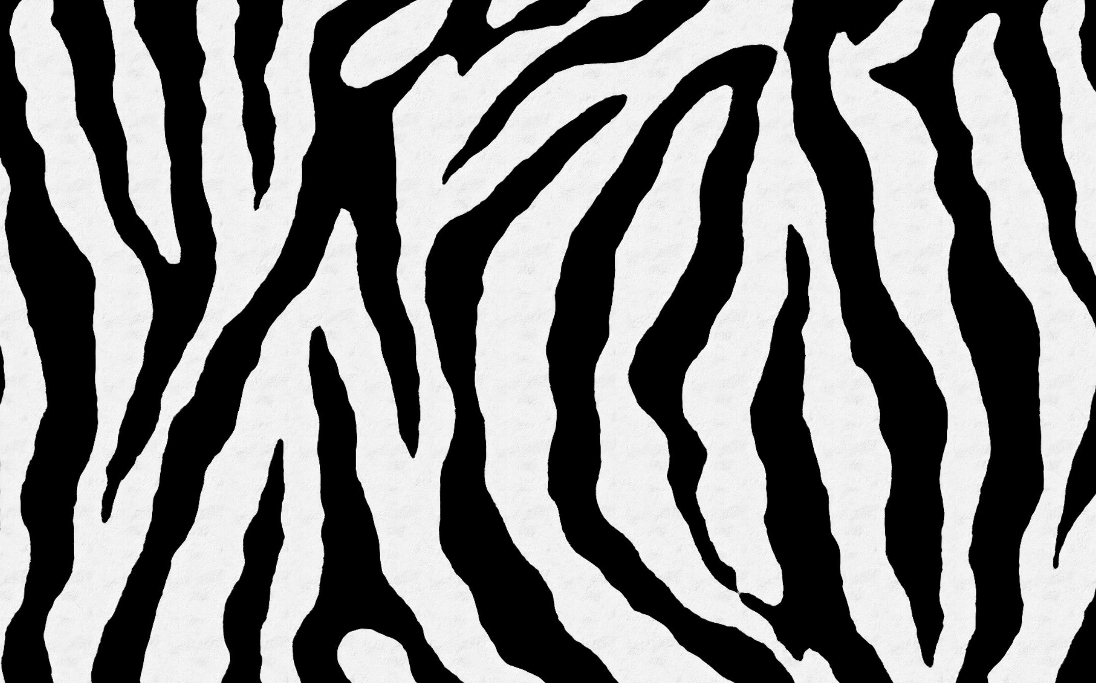 Doğanın Çizgileri