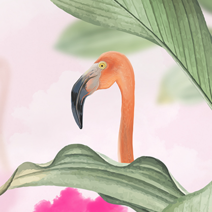 Pembe Flamingo