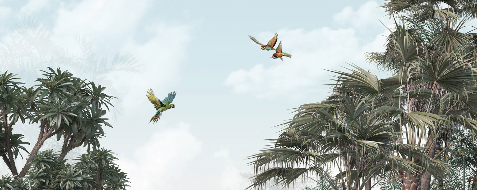 Tropikal Cennette Bir Gün