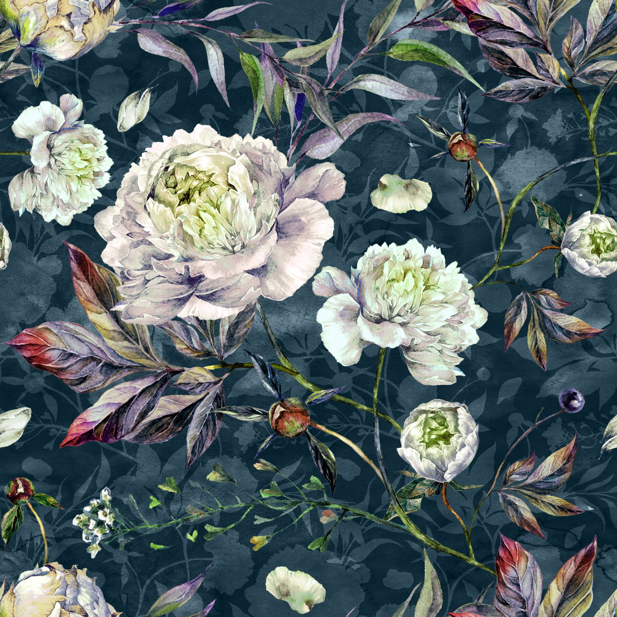 Botanical Illustration