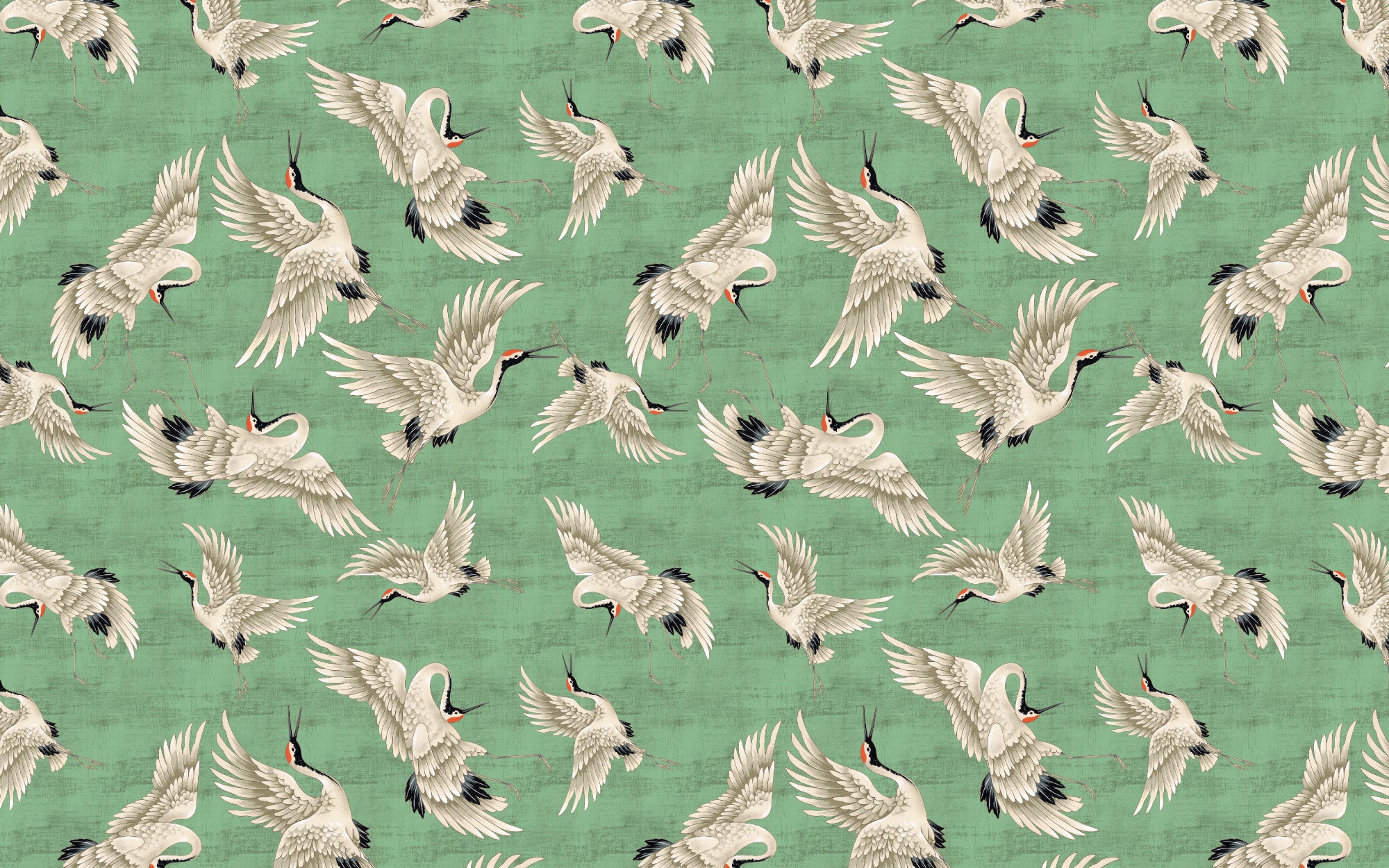 Yeşil Leylek Döngüsü