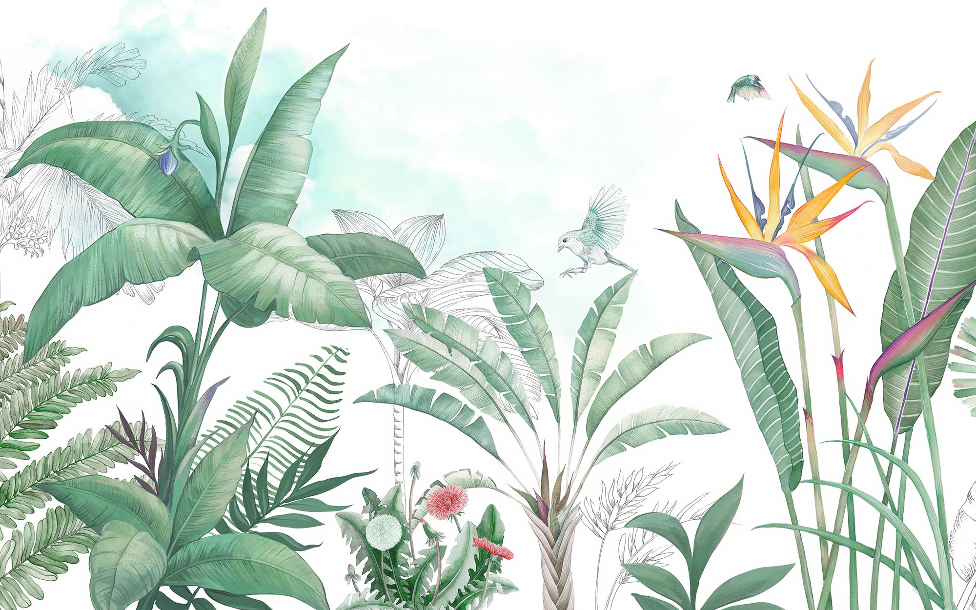 Light Green Free Bird