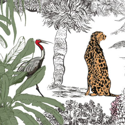 Hand Drawn Tropical Forest