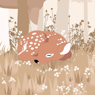 Boho Jungle Adventure