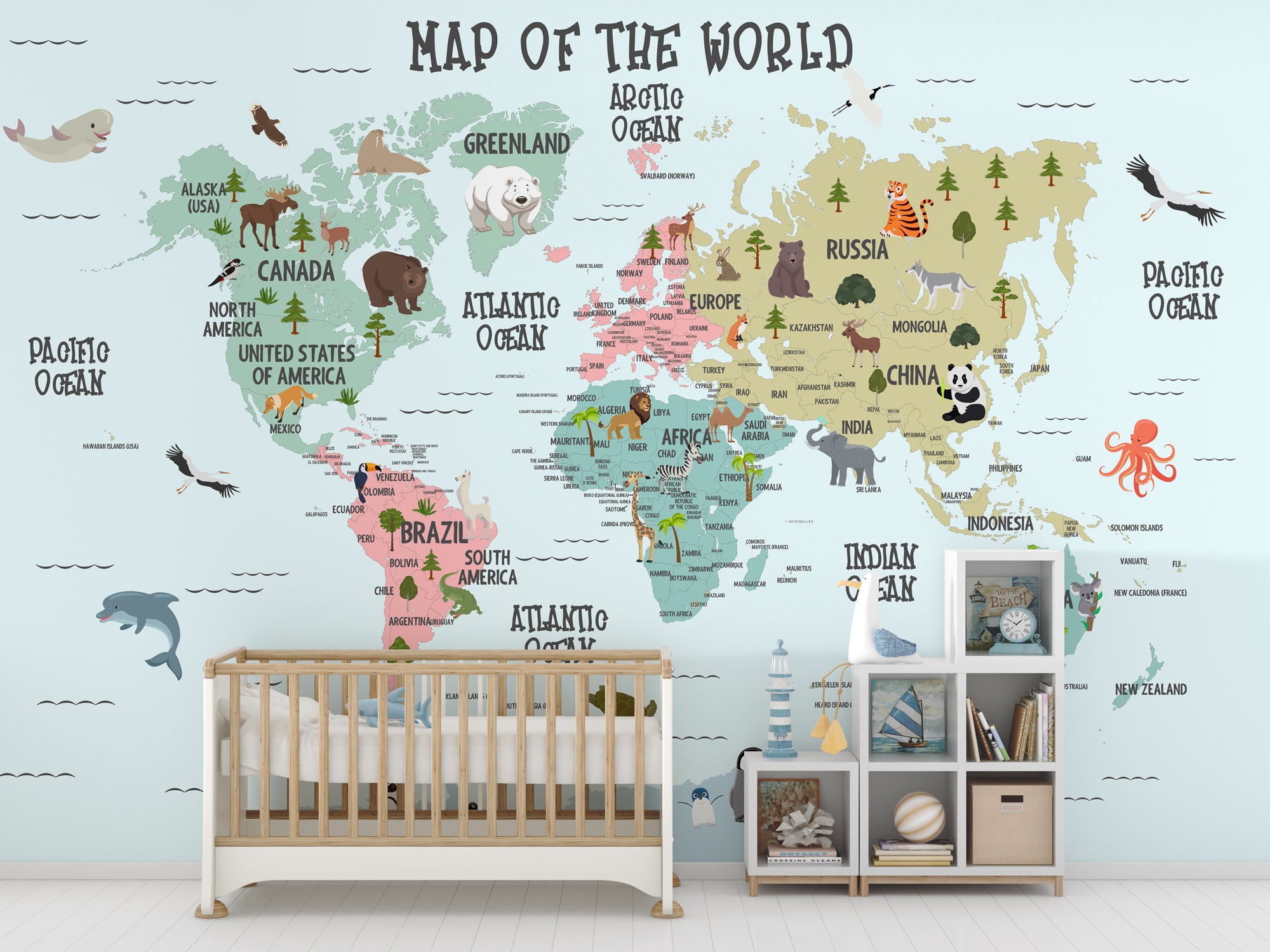 Küçük Kaşiflerin Dünyası