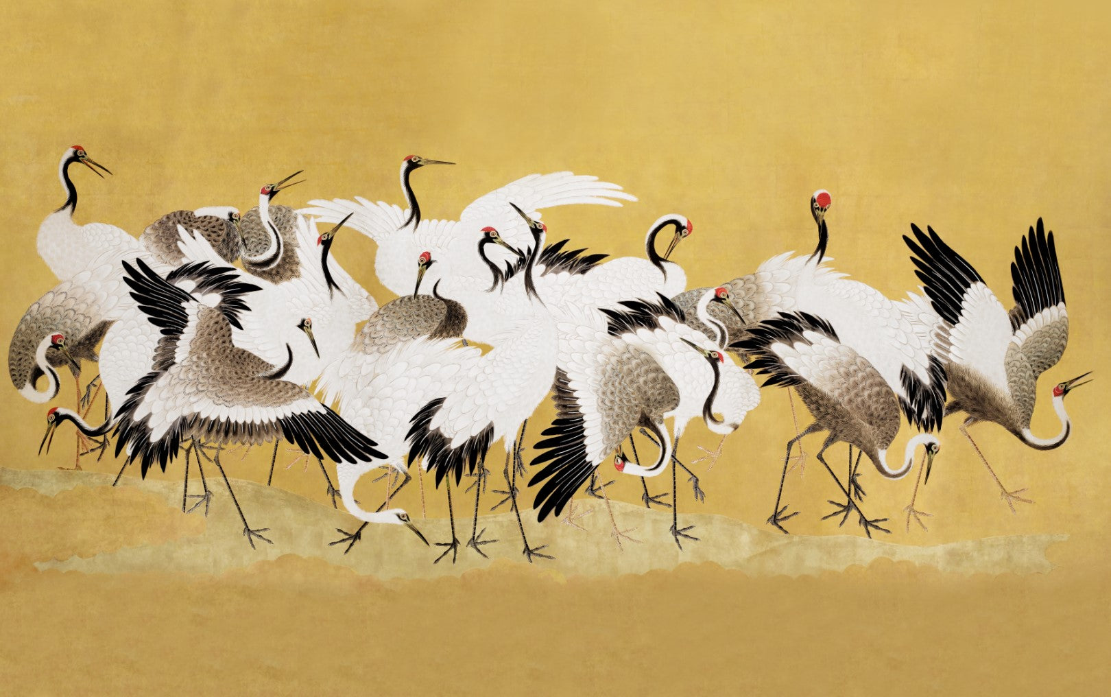 Büyük Turna Kuşları