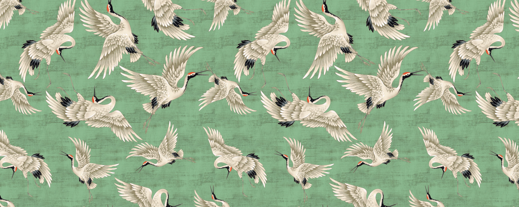 Yeşil Leylek Döngüsü