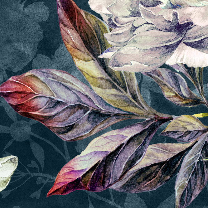 Botanical Illustration