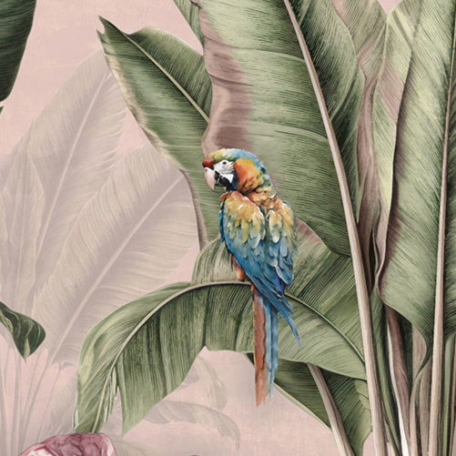 Pink Tropicana Dream