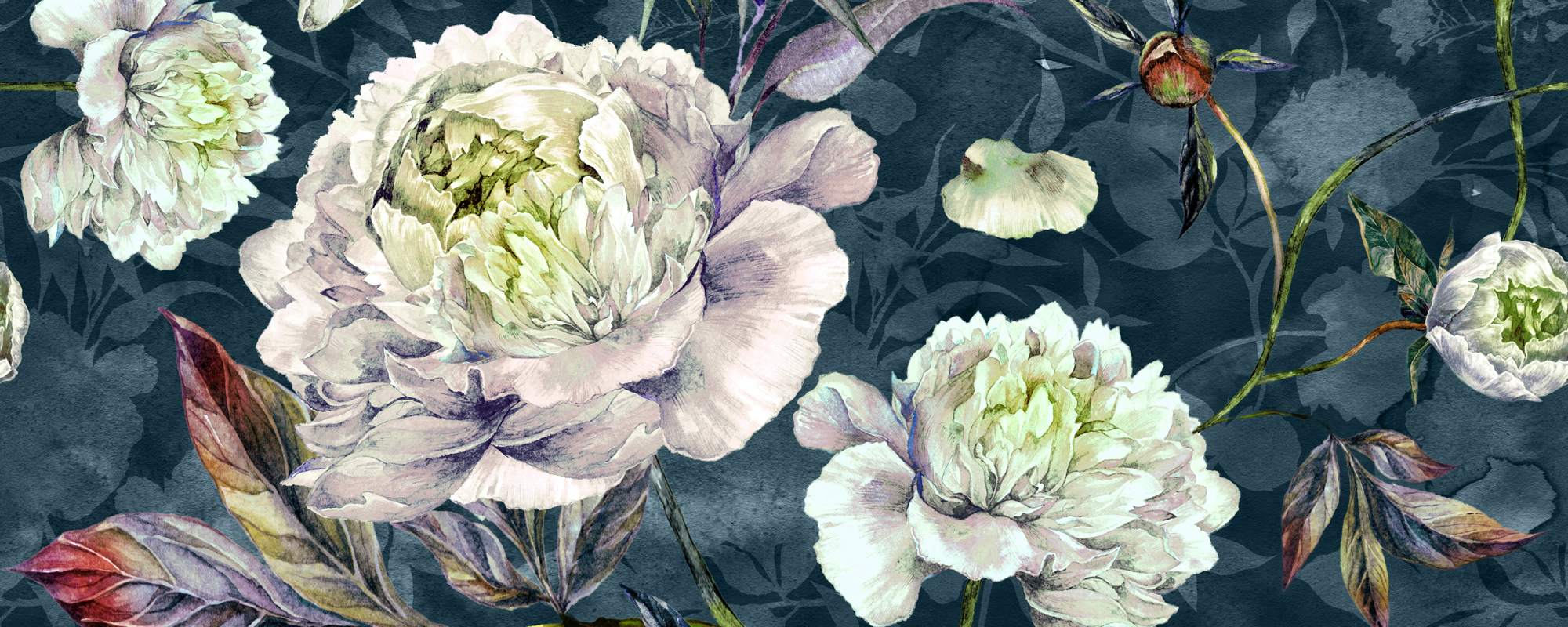 Botanical Illustration