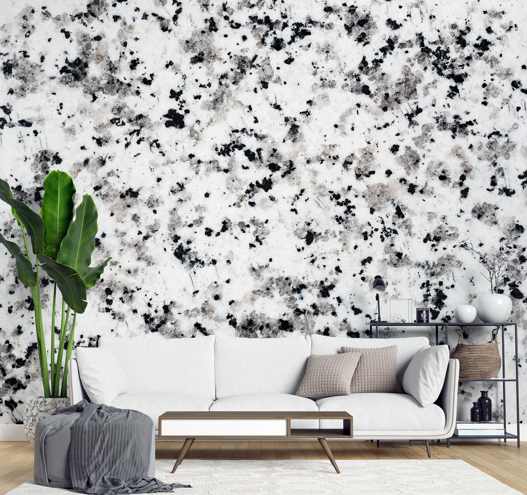 Black and White Harmony