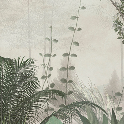 In the Heart of the Rainforest