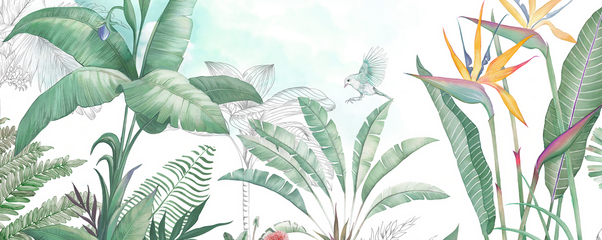 Light Green Free Bird