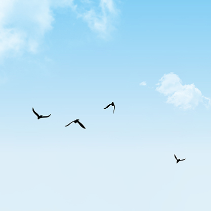 The Vitality Of The Blue