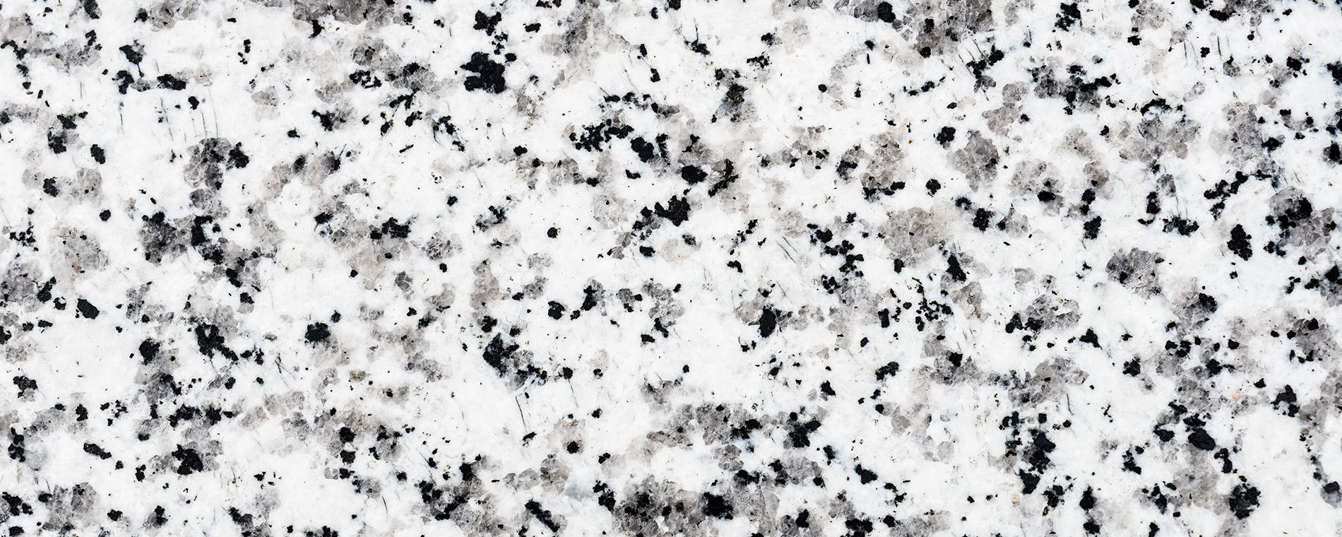 Black and White Harmony