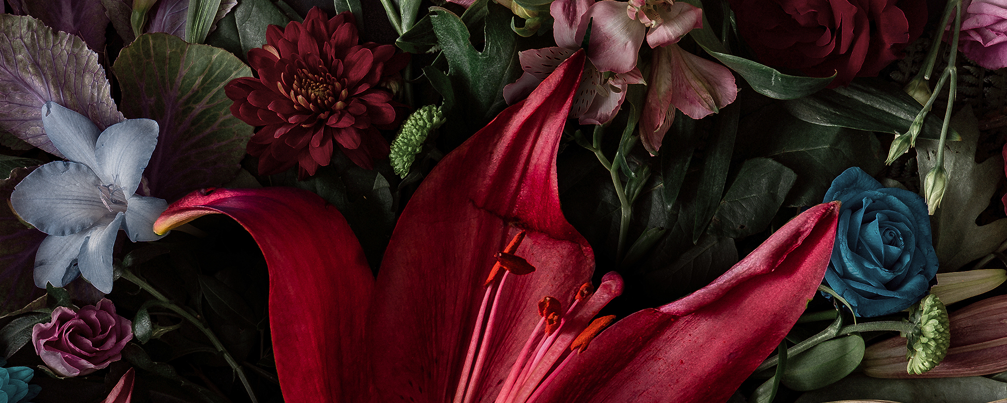 Colorful Spring Flowers