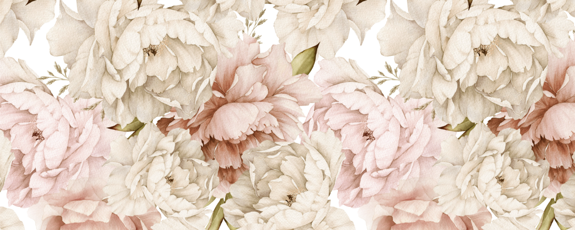 Large Peony Flowers