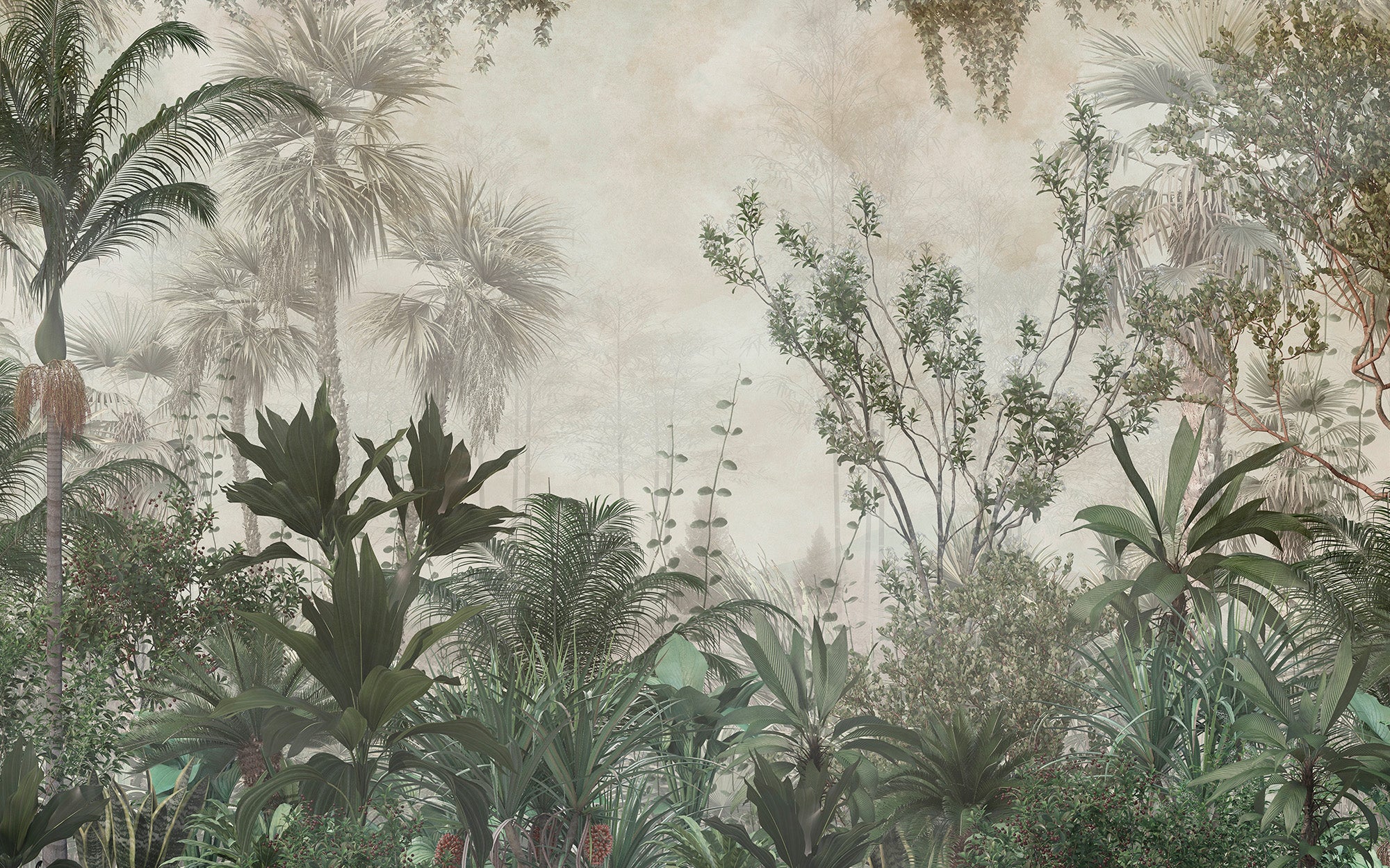 In the Heart of the Rainforest