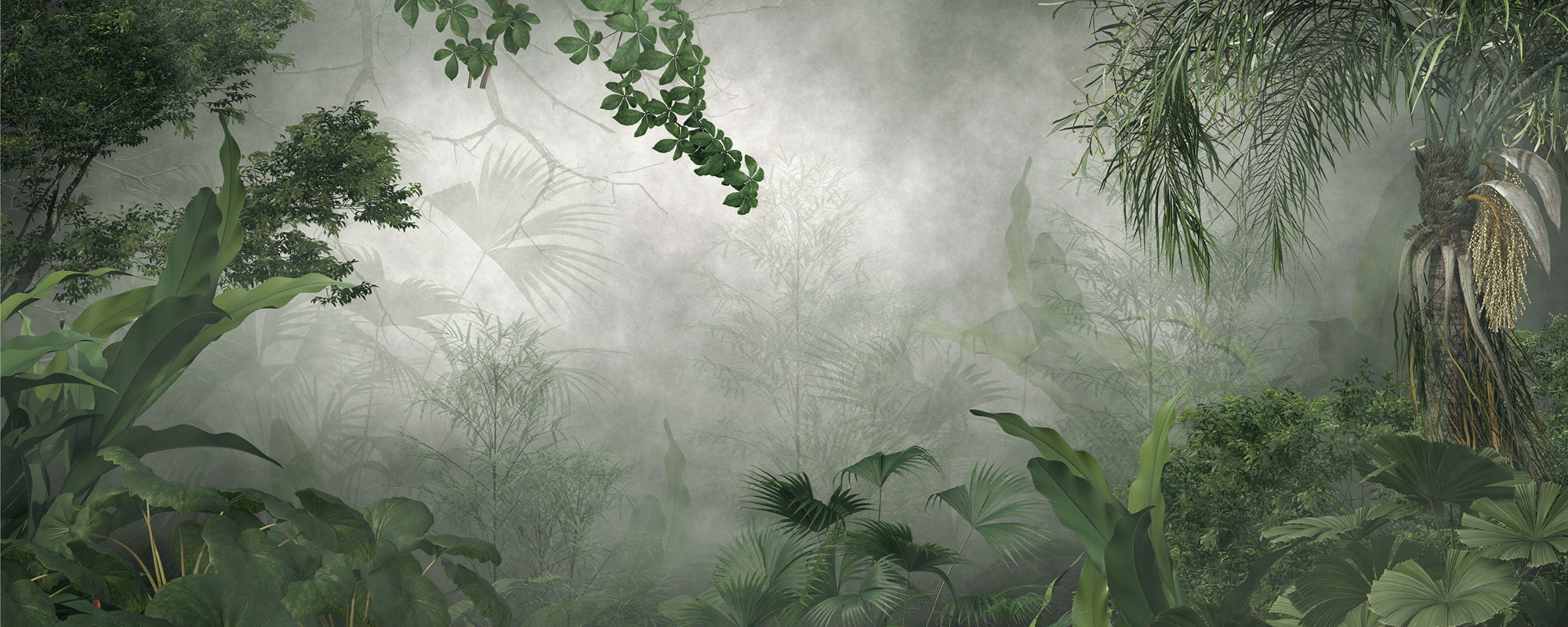 A Journey in the Heart of Nature