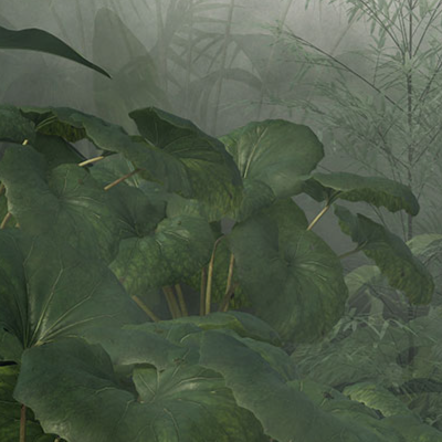 A Journey in the Heart of Nature