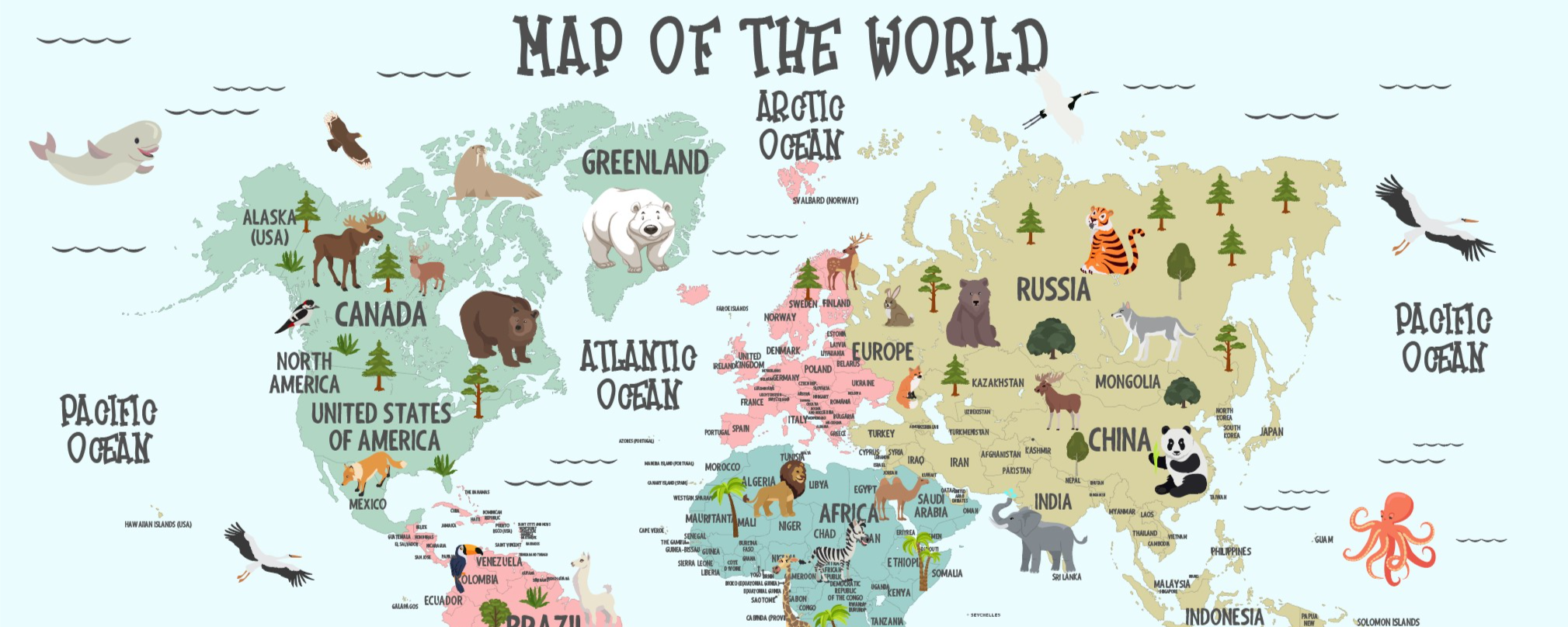 Küçük Kaşiflerin Dünyası