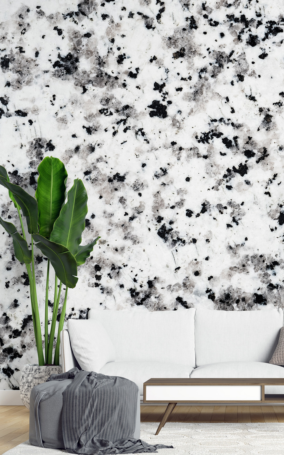 Black and White Harmony