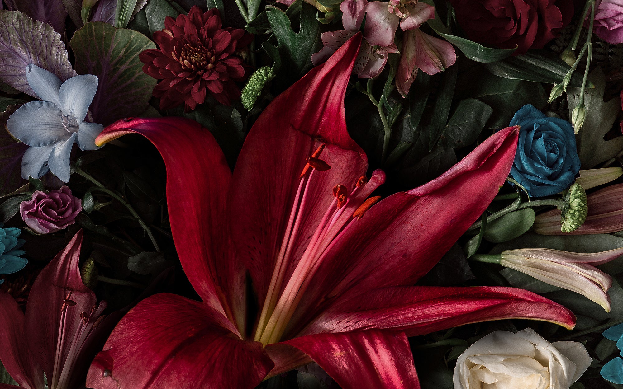 Colorful Spring Flowers