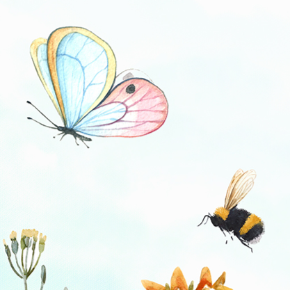 Sky And Butterflies