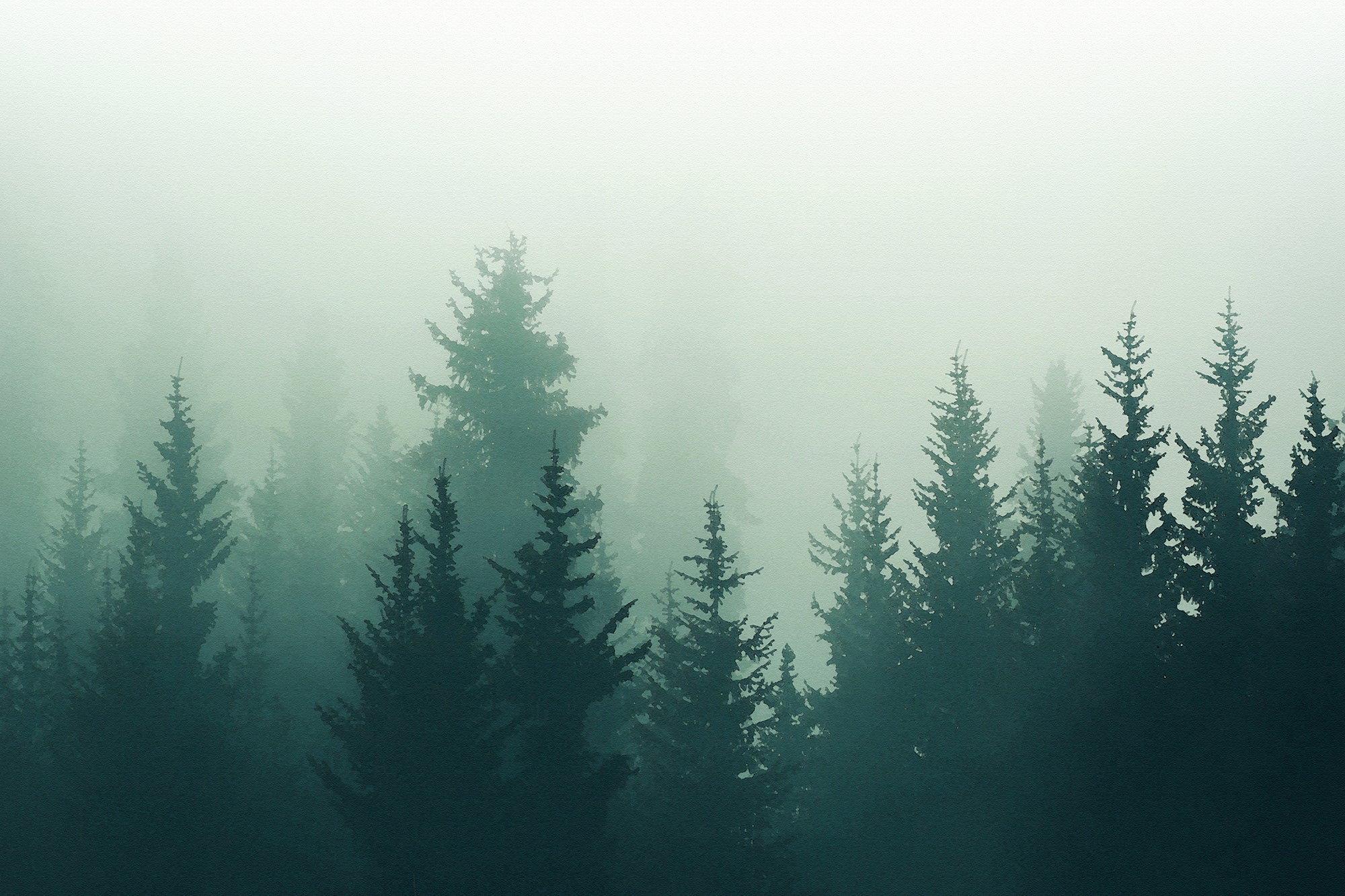 The Energy of Nature