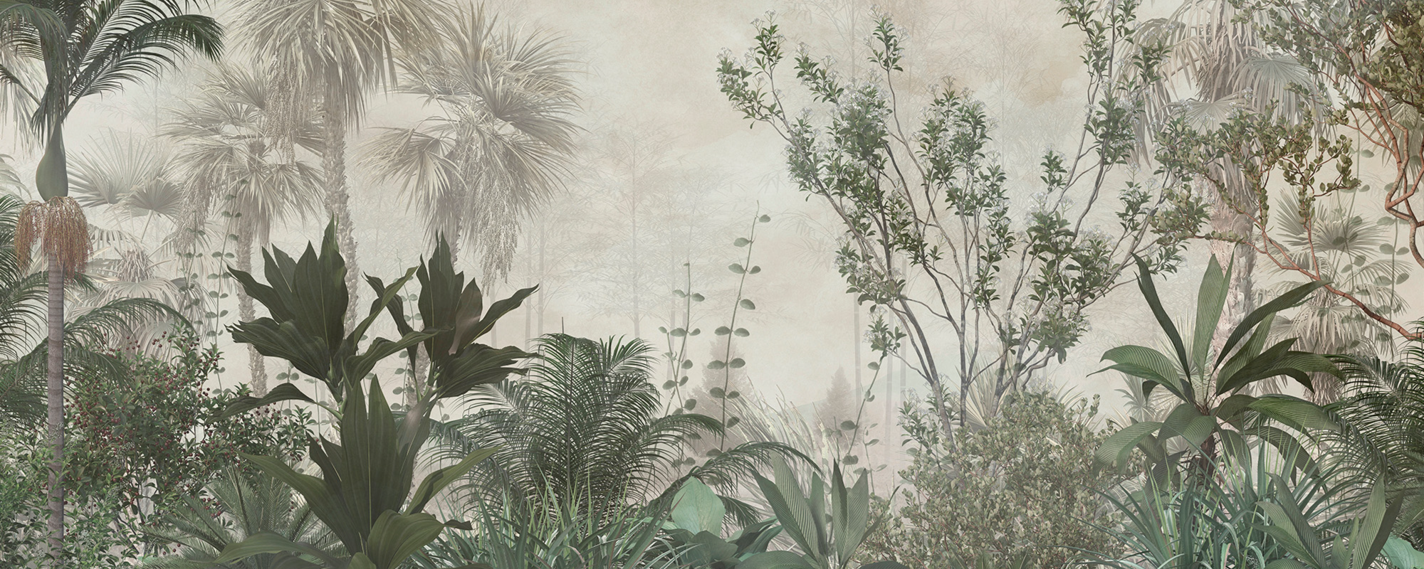 In the Heart of the Rainforest