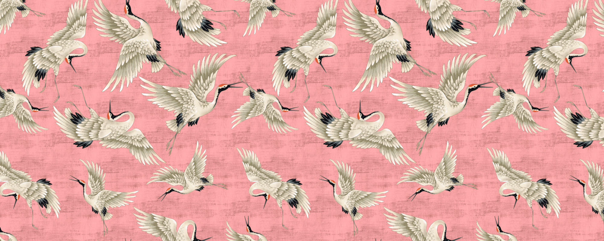Pink Stork Cycle
