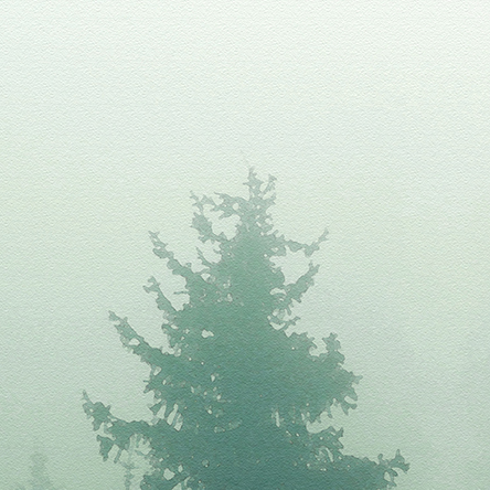 The Energy of Nature