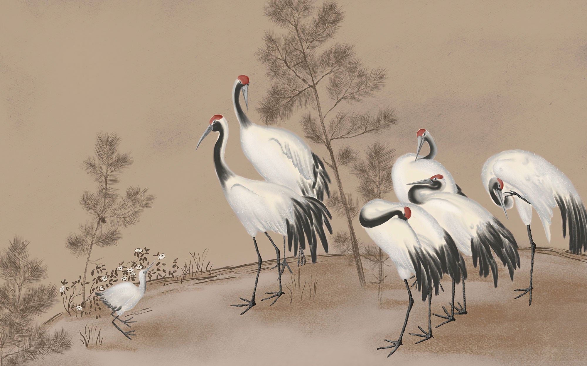 Uzak Doğu'nun Efsanevi Güzelliği