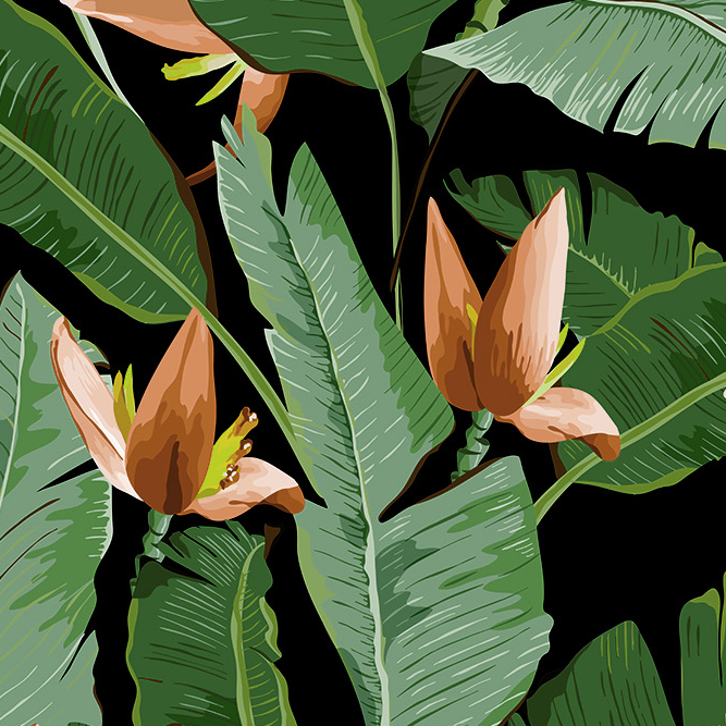 Yaprakların Siyah Dansı