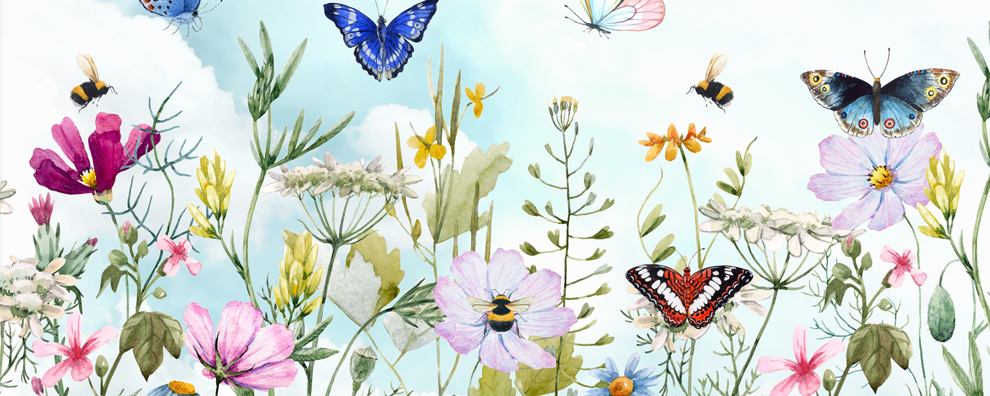 Sky And Butterflies
