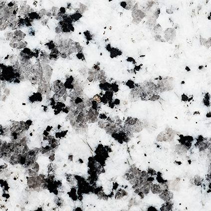 Black and White Harmony