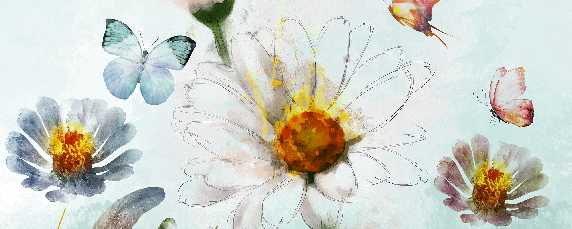 Camelia