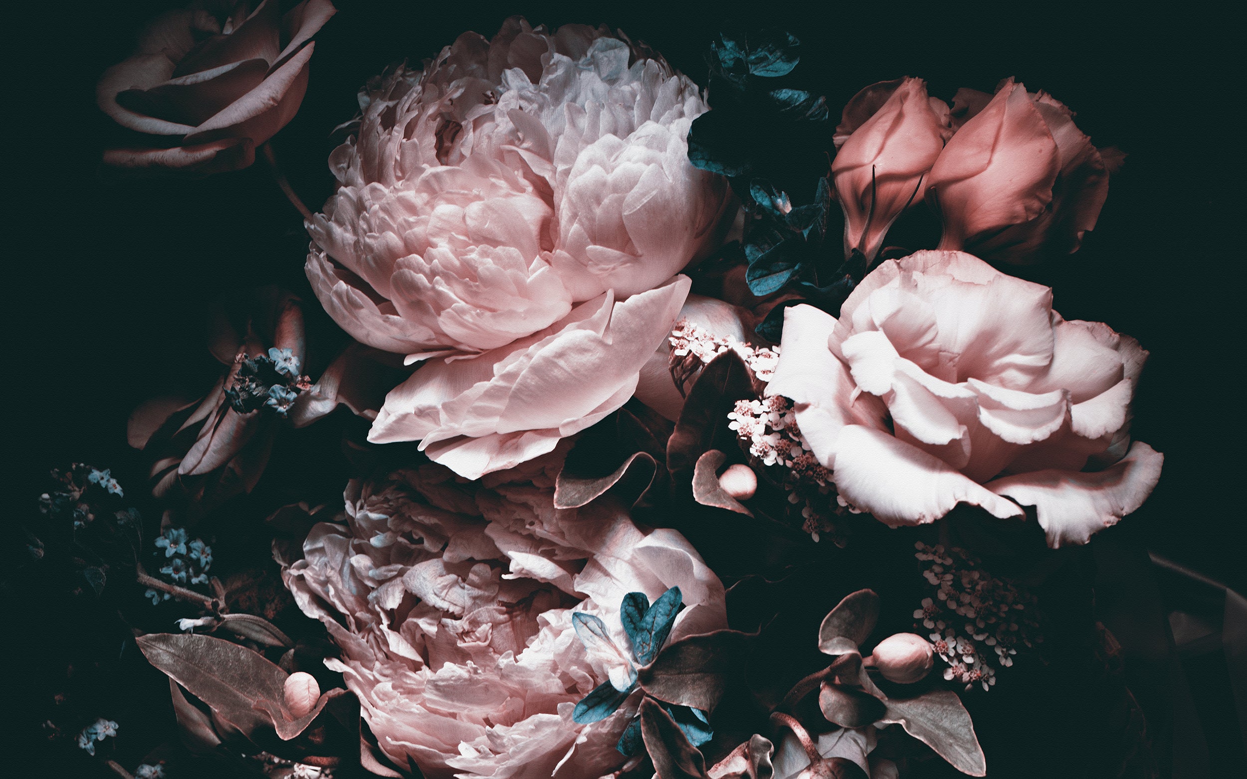 Pembe Şakayık Buketi