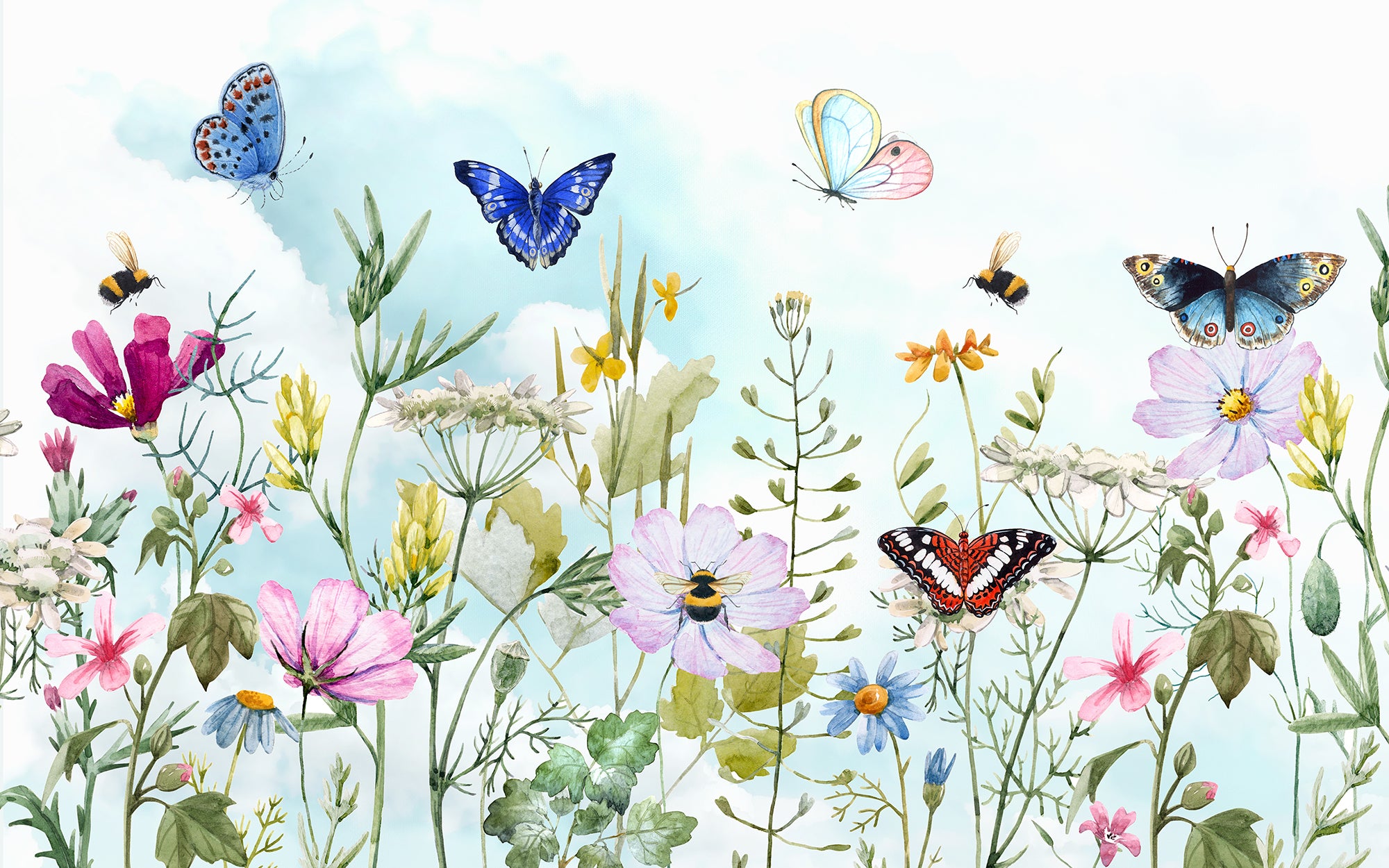 Sky And Butterflies